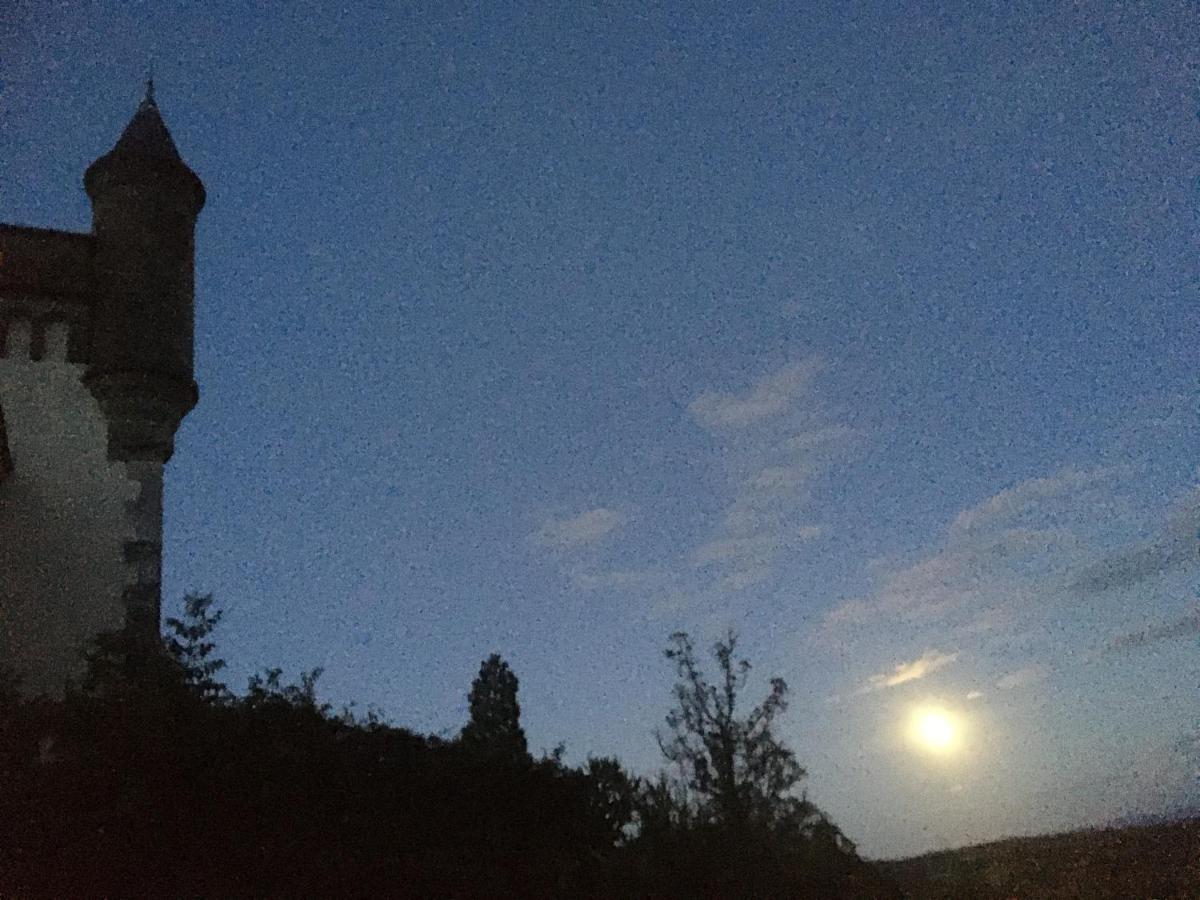 Chateau De Villeneuve - Montolieu 外观 照片