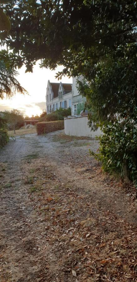 Chateau De Villeneuve - Montolieu 外观 照片