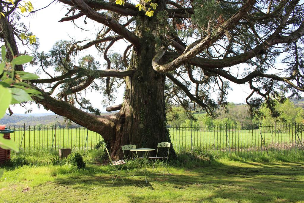 Chateau De Villeneuve - Montolieu 外观 照片