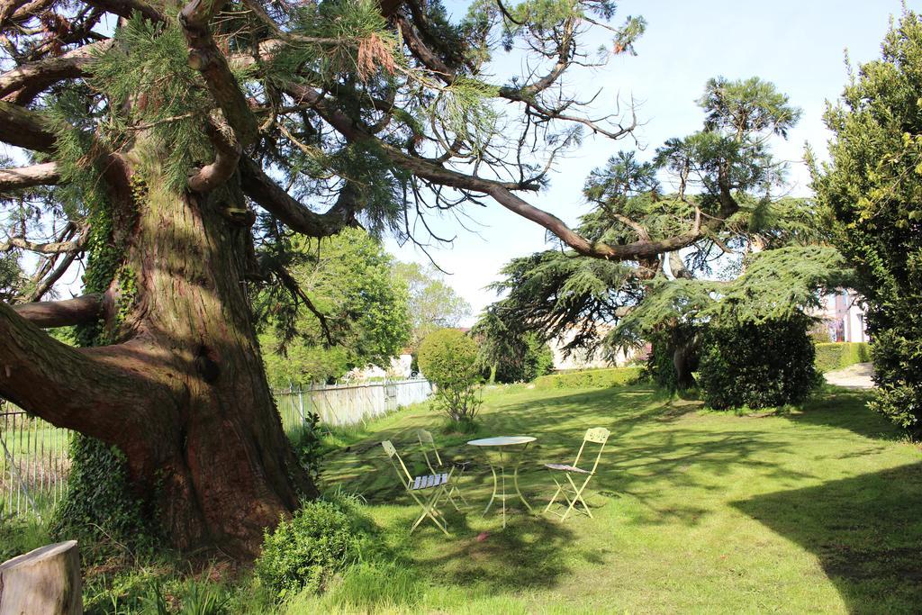 Chateau De Villeneuve - Montolieu 外观 照片